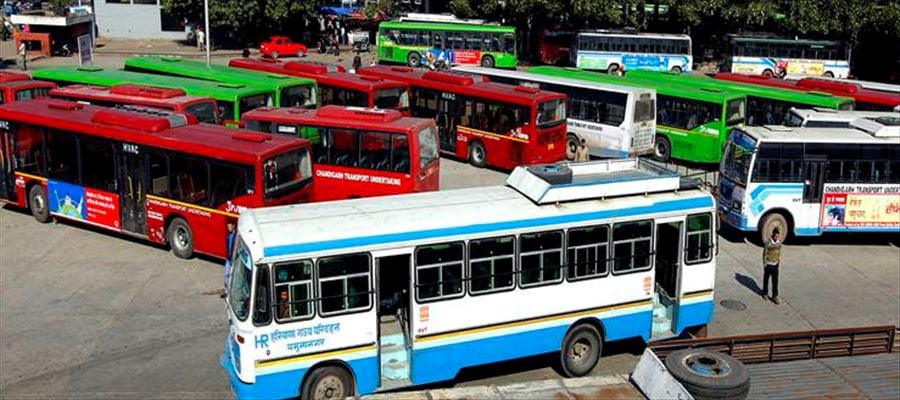Bus Services Halted At Haryana | Dera Violence